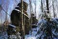 Karst formations Ã¢â¬â Stolowe Mountains - Poland